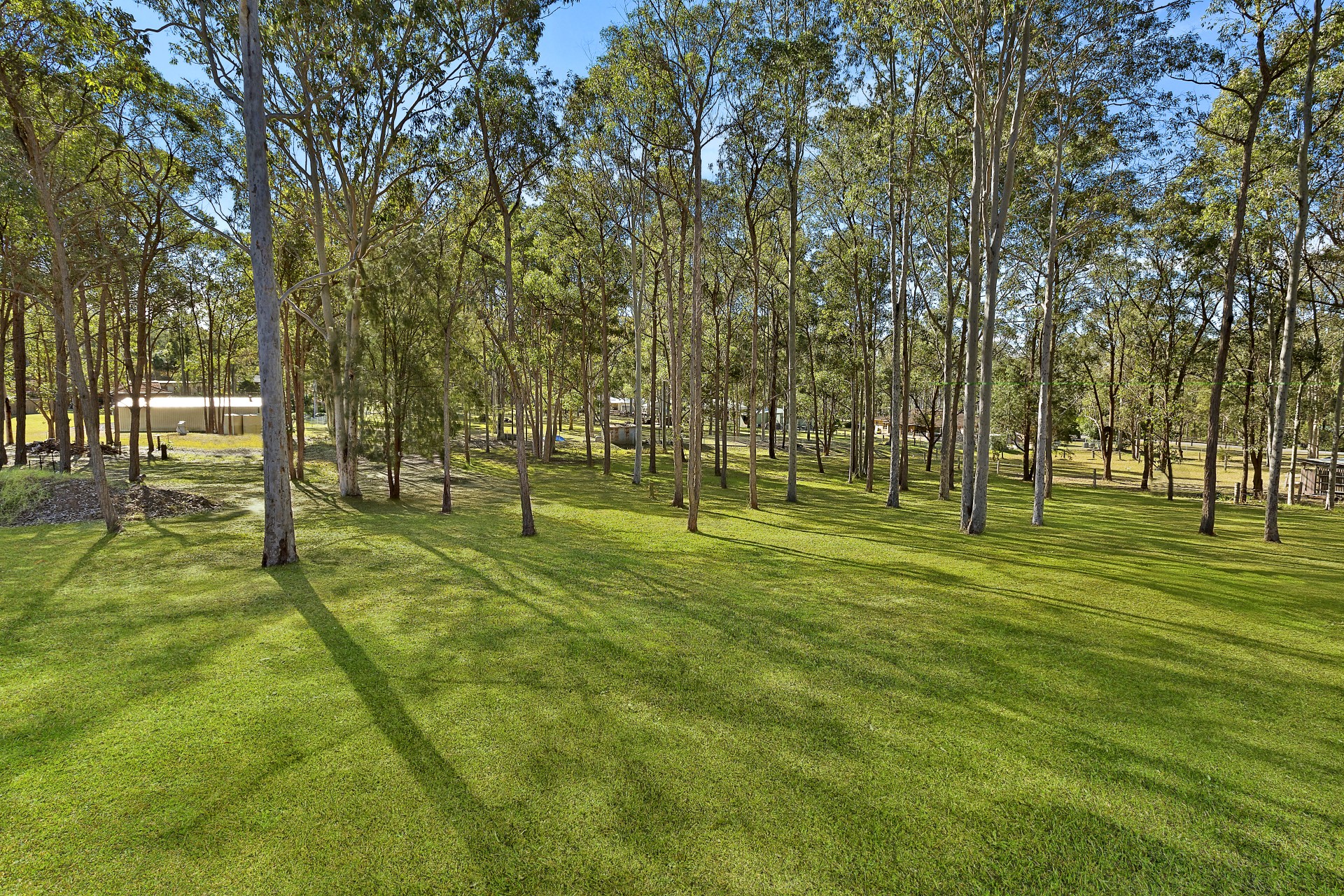 Real Estate in Jilliby