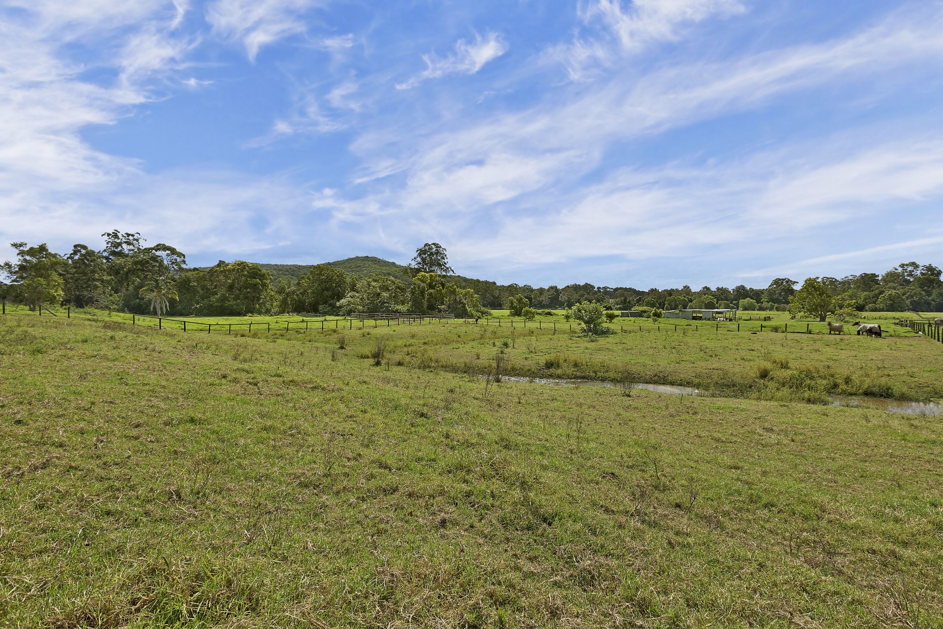 Open for inspection in Wyong Creek