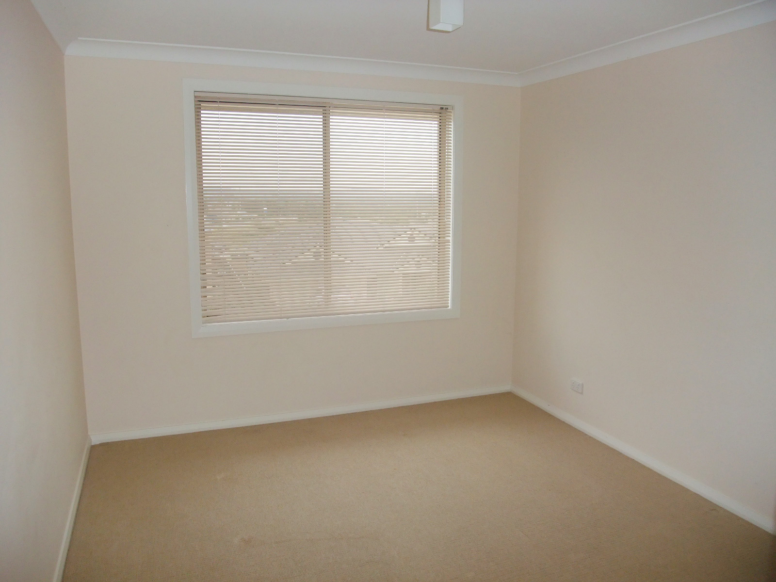 Real Estate in Woongarrah
