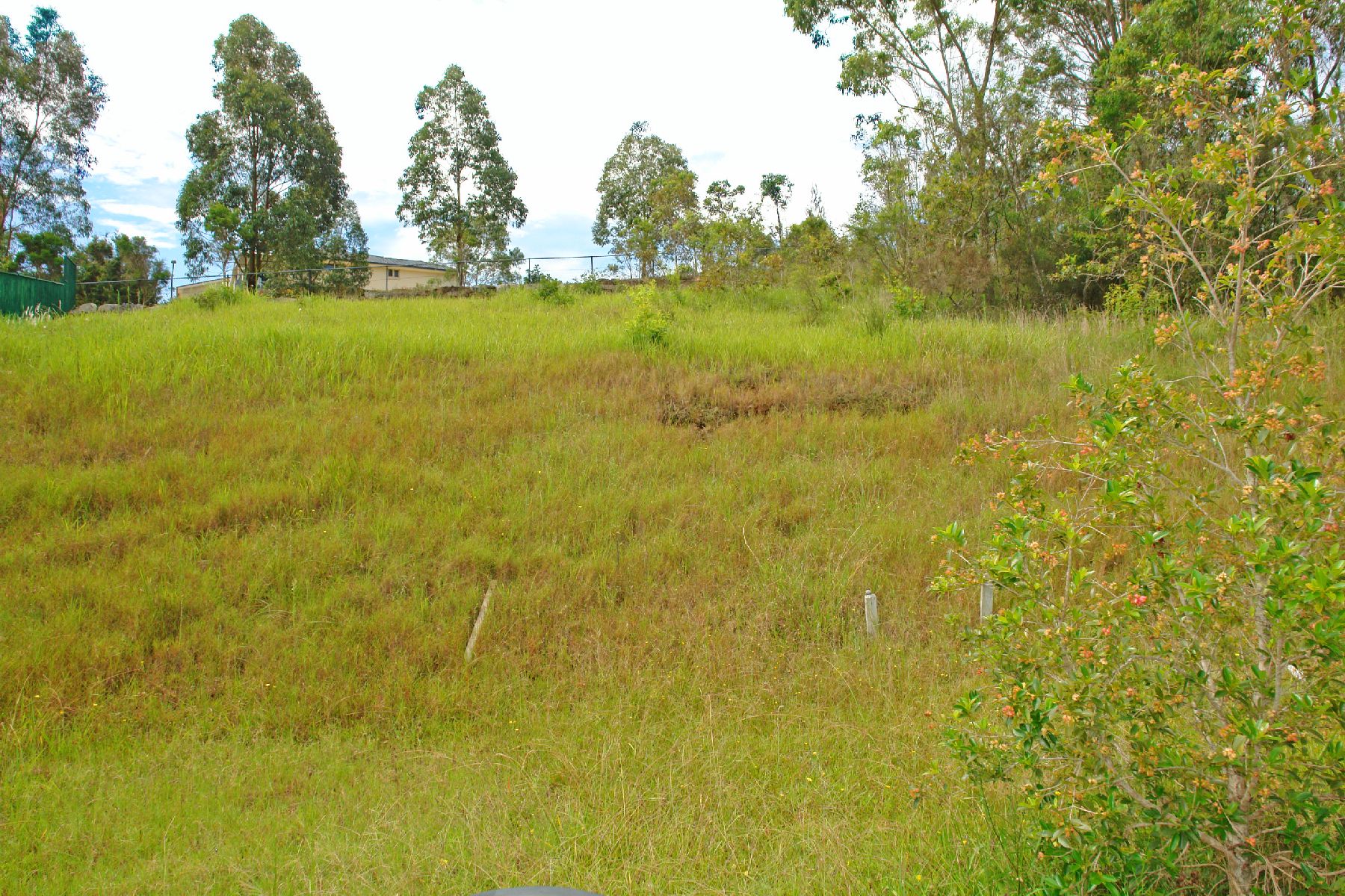 Watanobbi Properties Sold