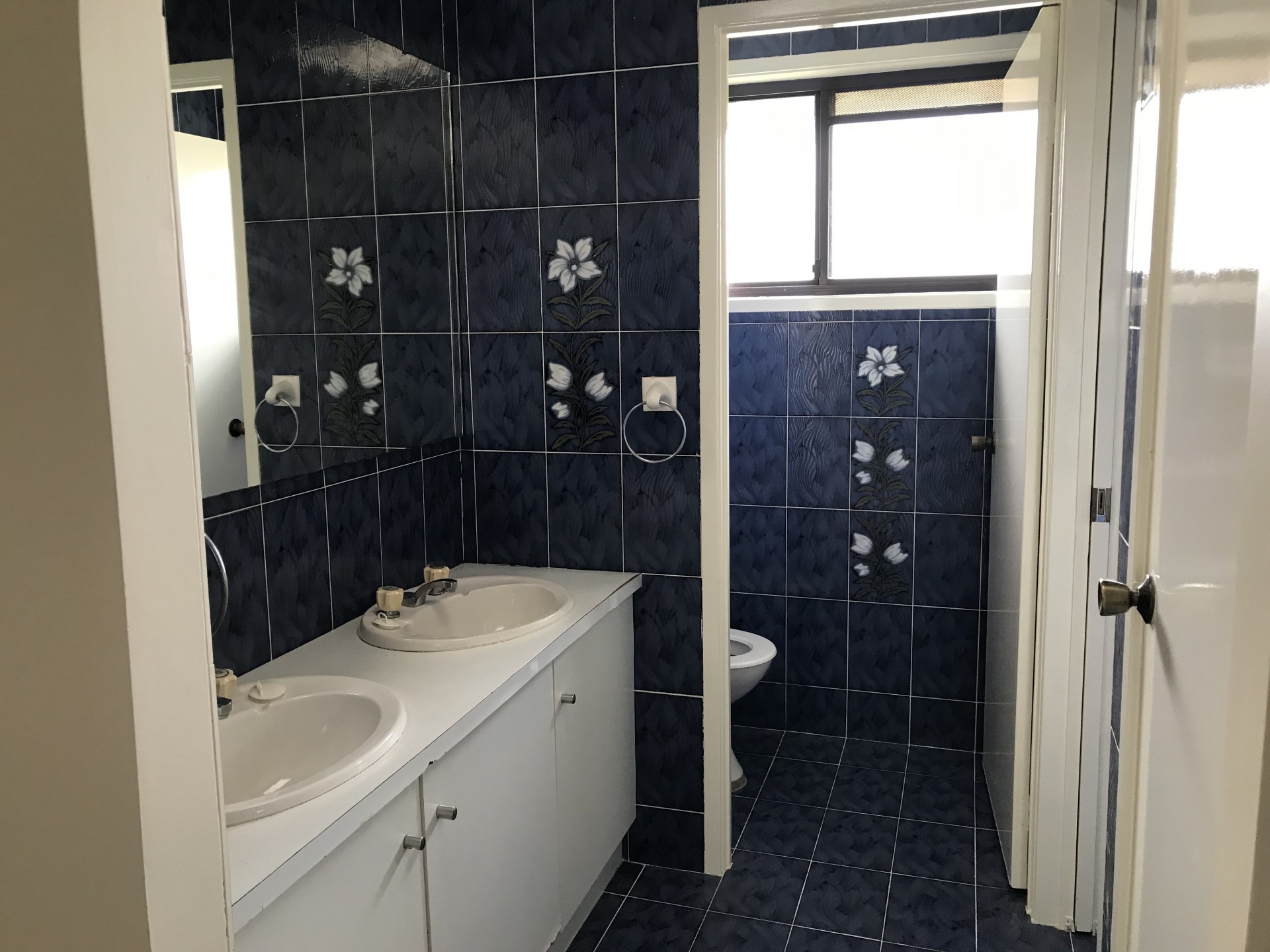 Lake Haven real estate Leased