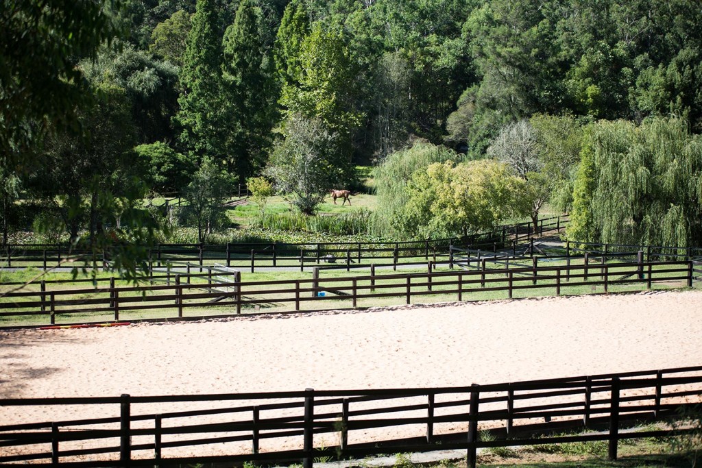 Real Estate in Wyong Creek