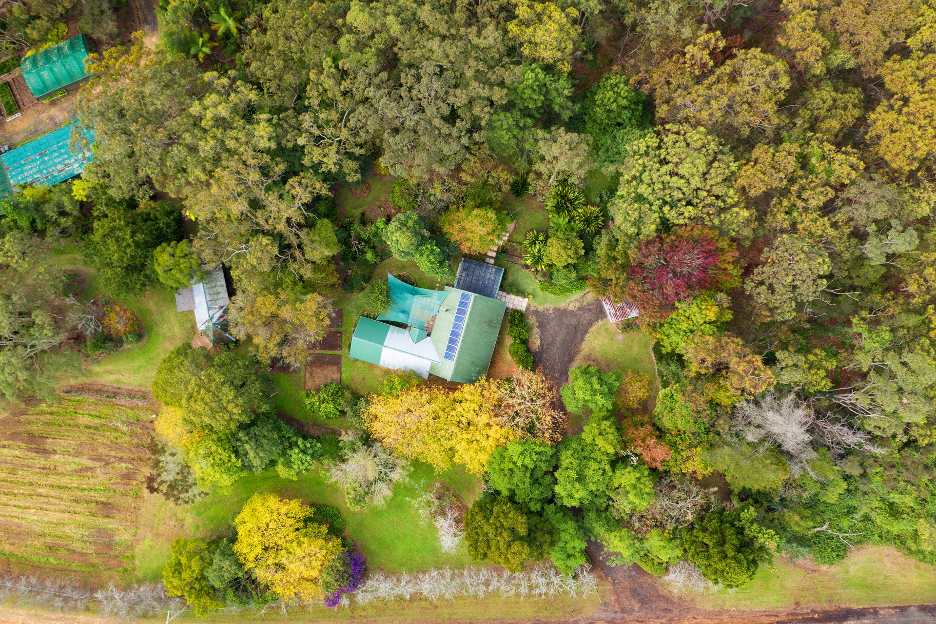Real Estate in Peats Ridge