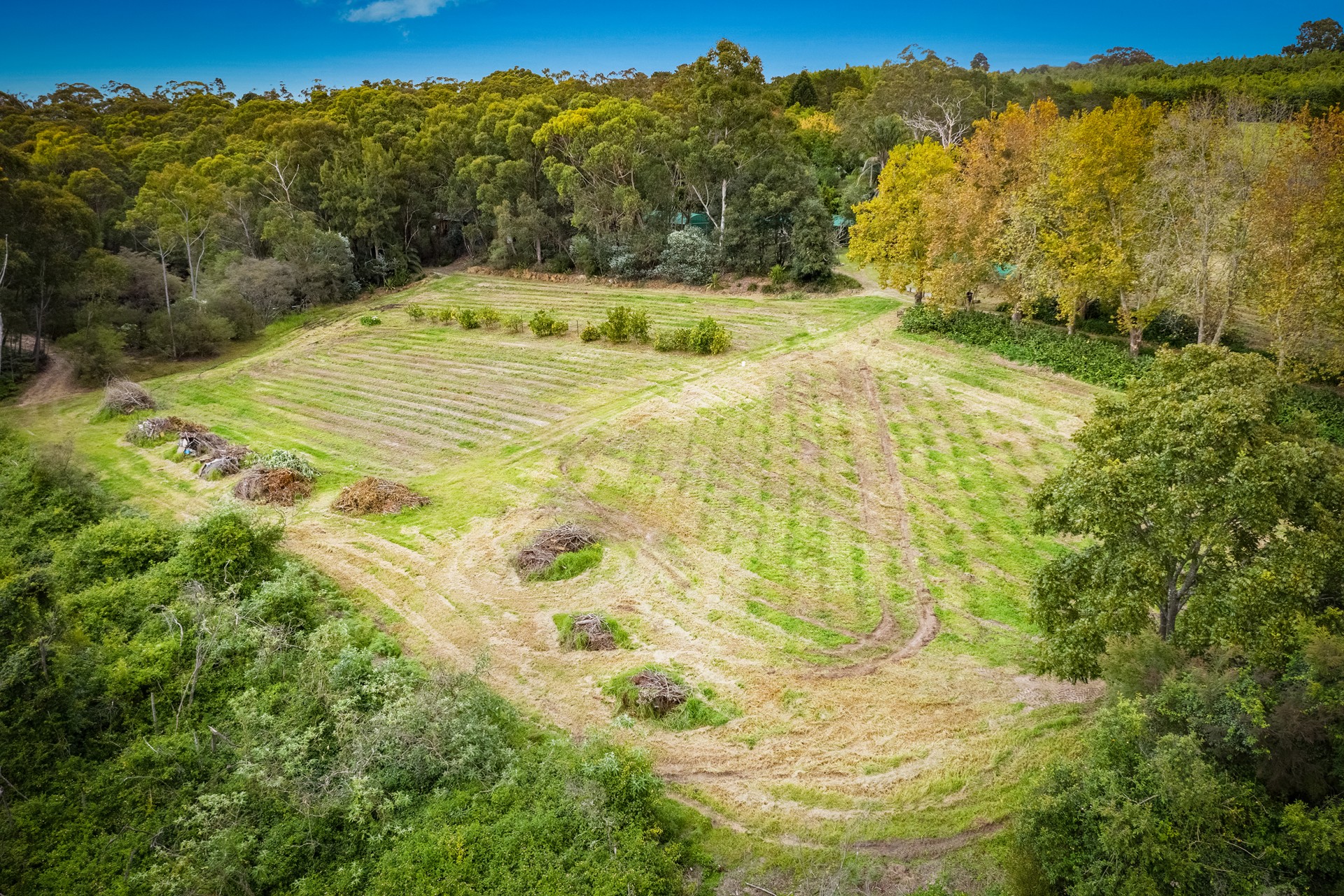 Real Estate in Peats Ridge
