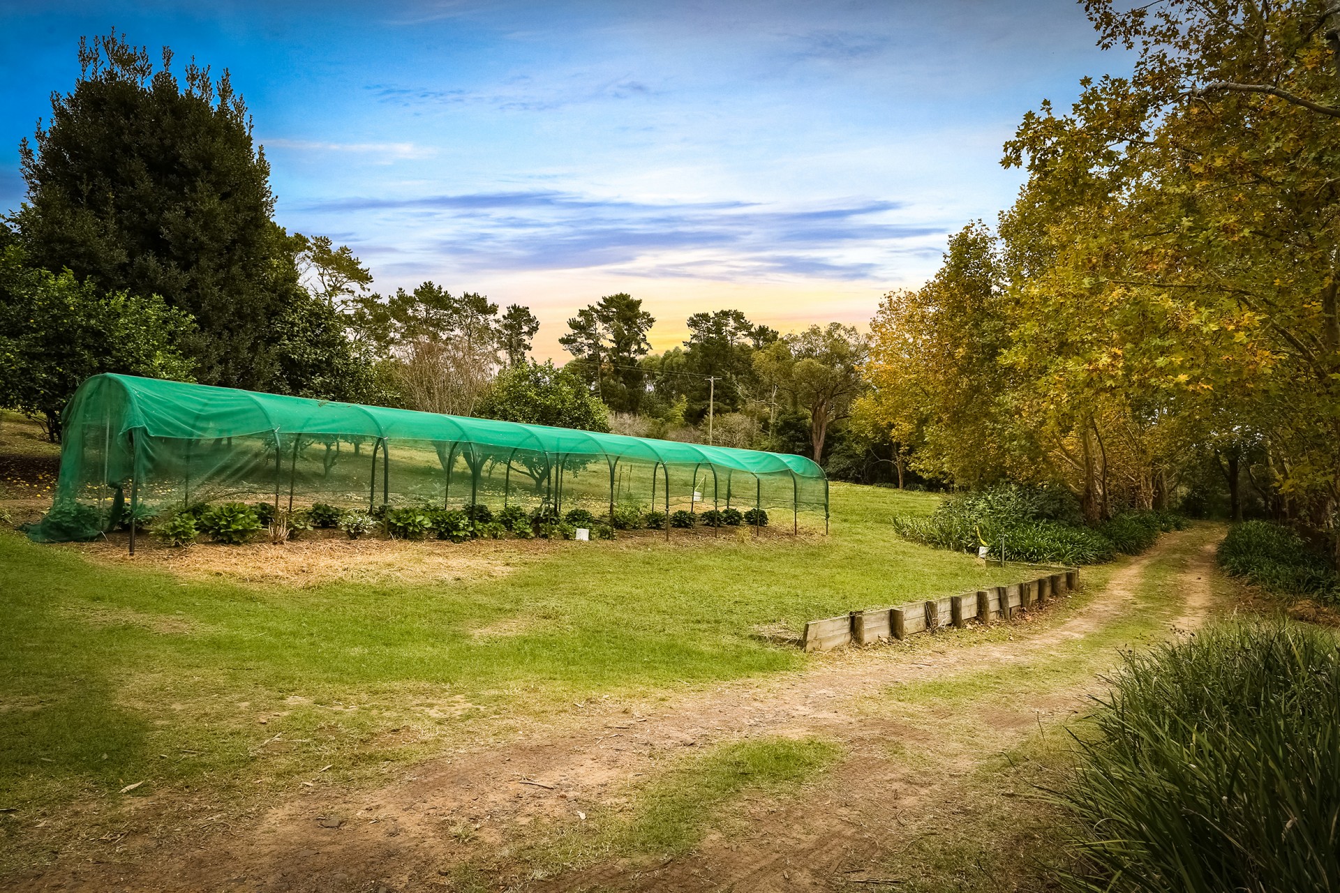 Real Estate in Peats Ridge