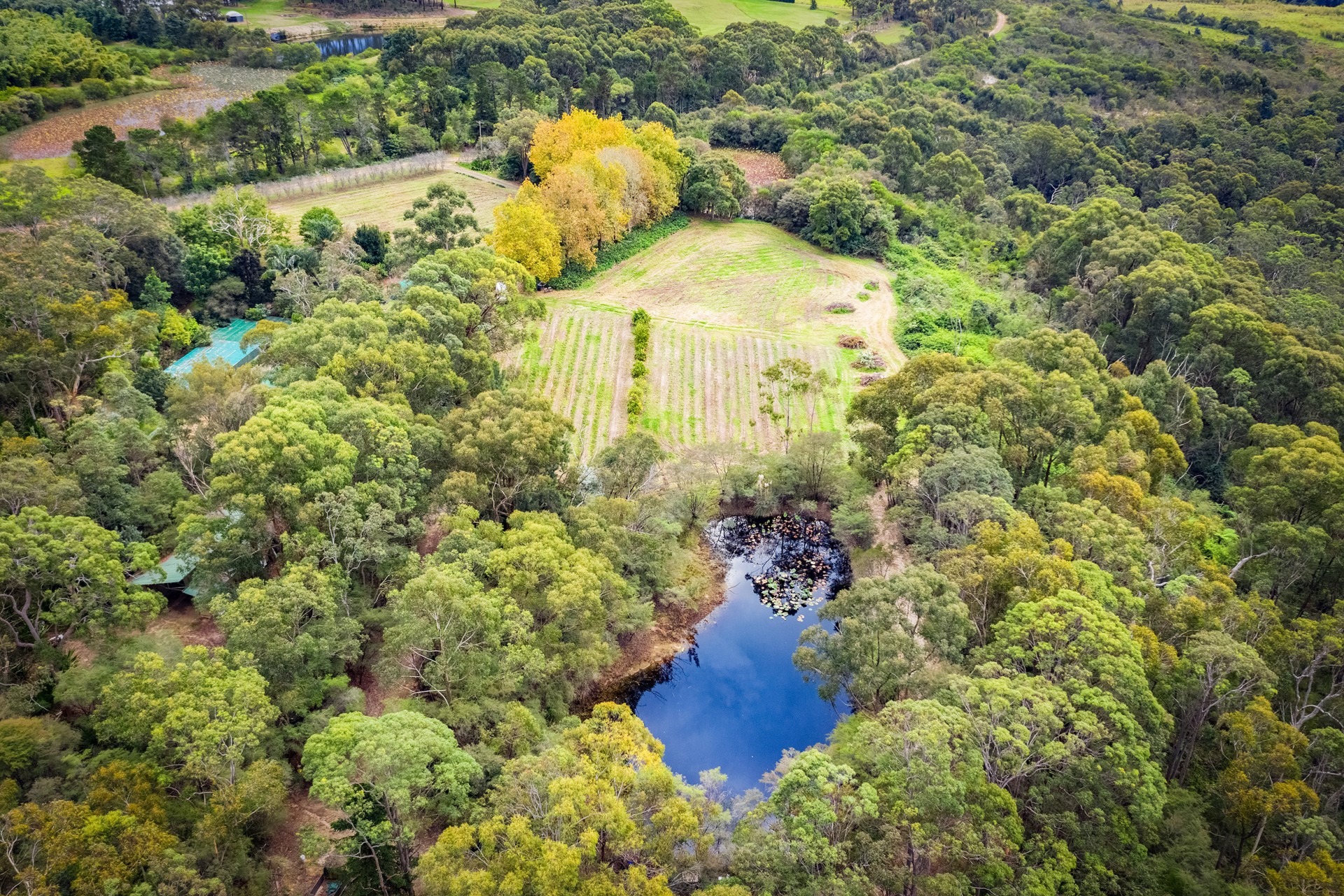 Real Estate in Peats Ridge
