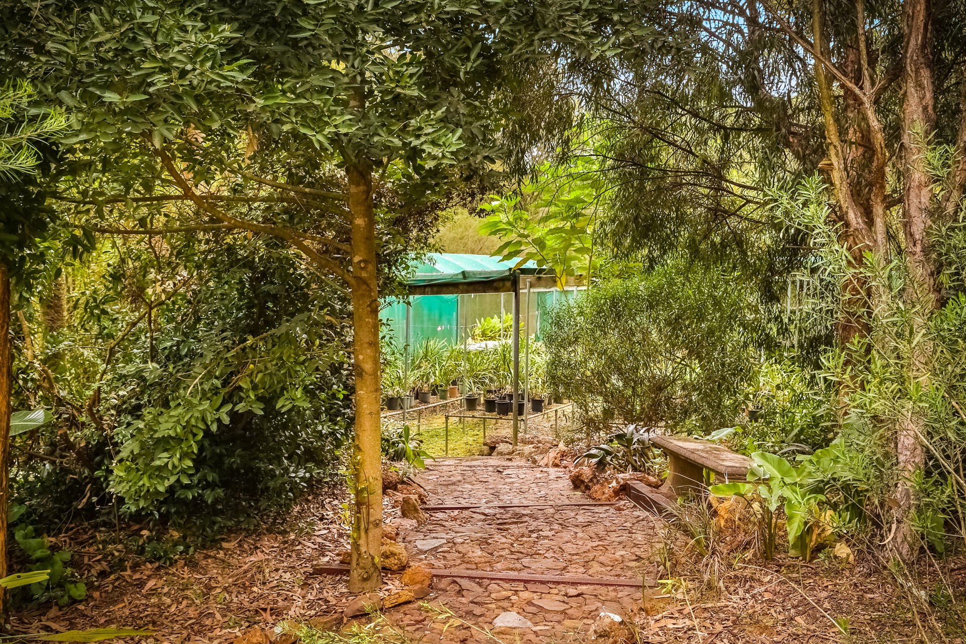 Real Estate in Peats Ridge