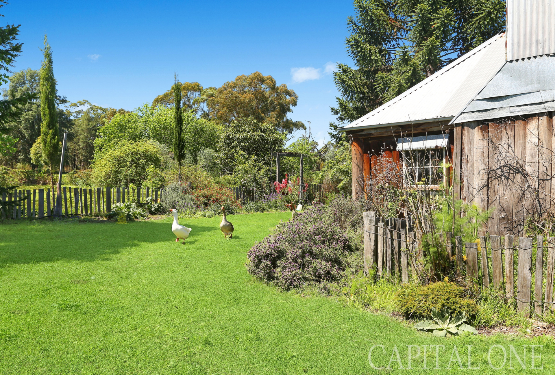 Mangrove Mountain Properties Sold