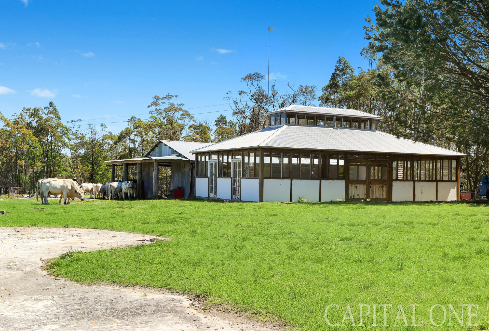 Real Estate in Mangrove Mountain
