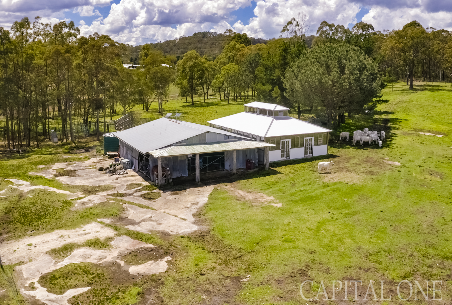 Real Estate in Mangrove Mountain