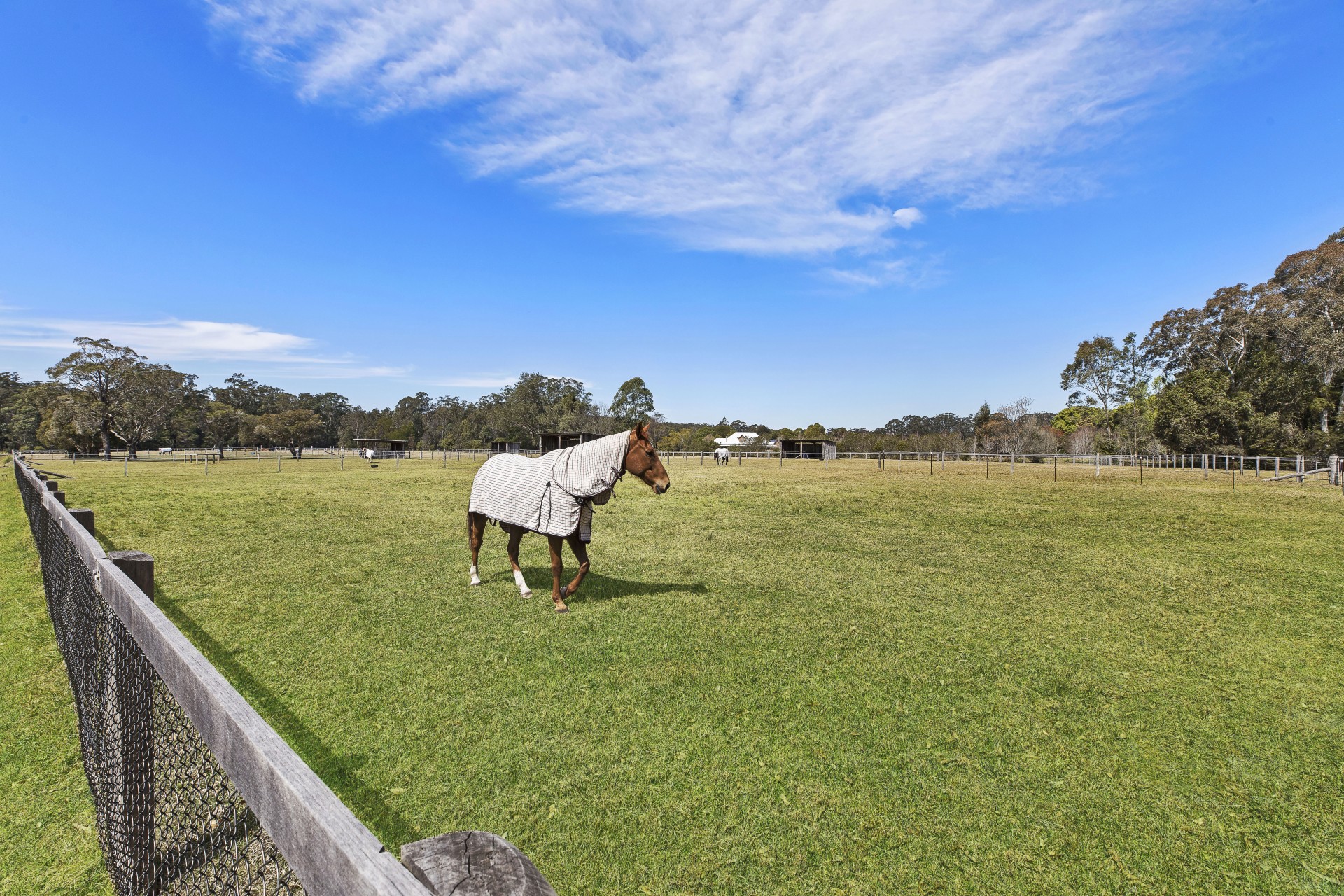 Real Estate in Dooralong