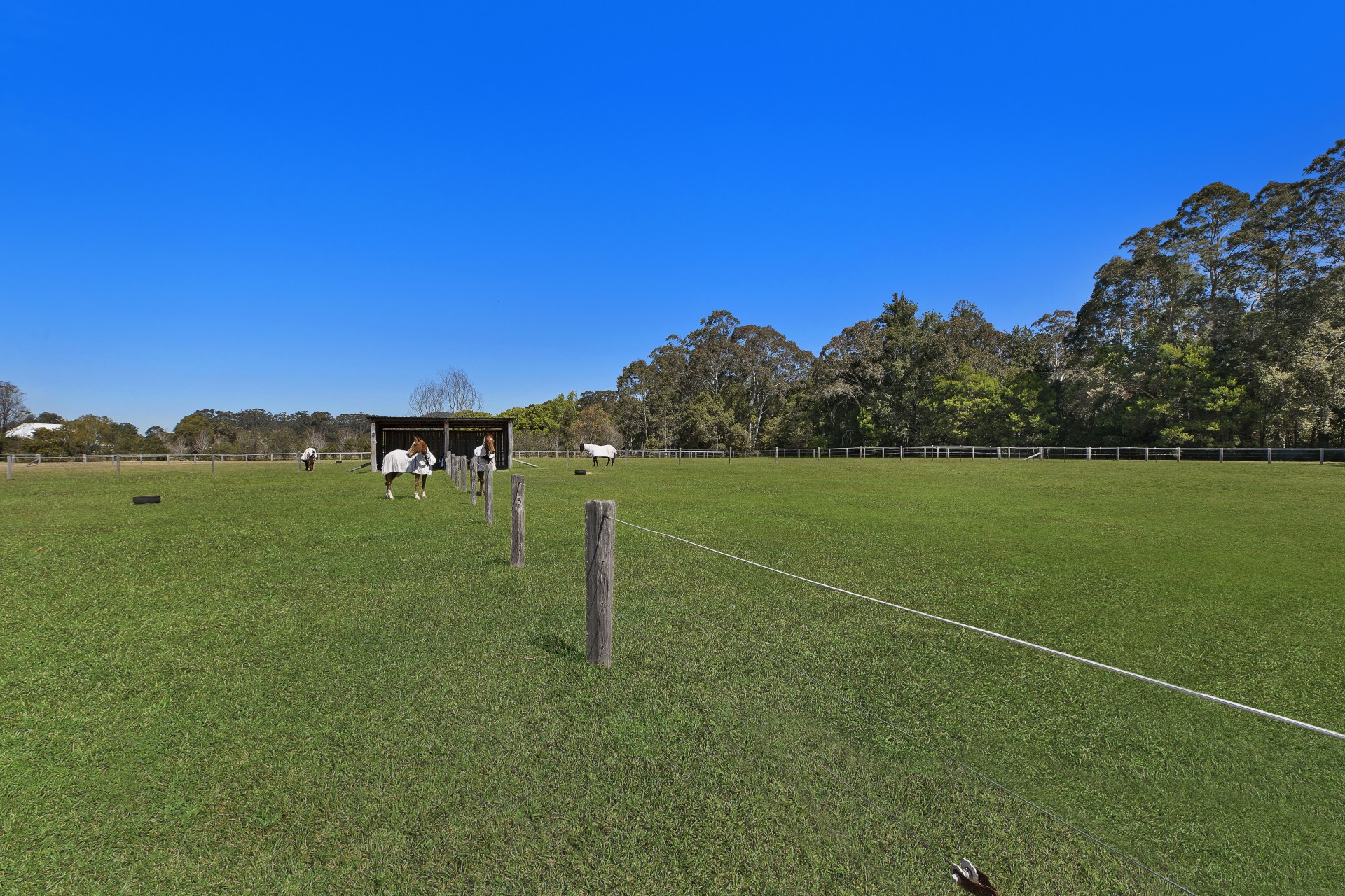 Real Estate in Dooralong