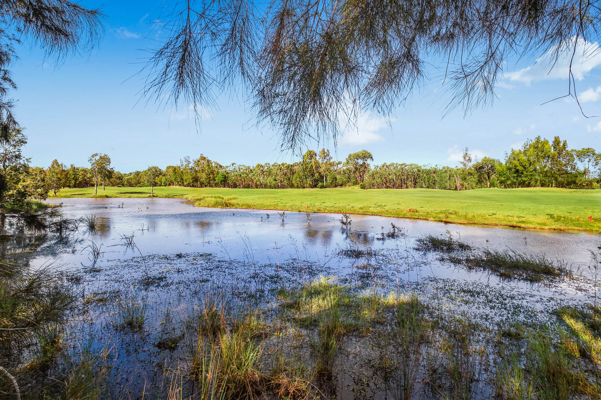 Wyong Properties Sold