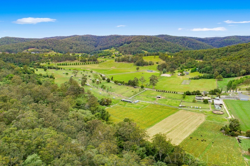 Real Estate in Wyong Creek