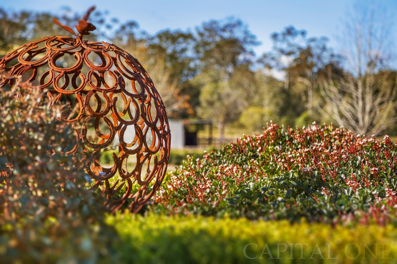 Real Estate in Wyong Creek