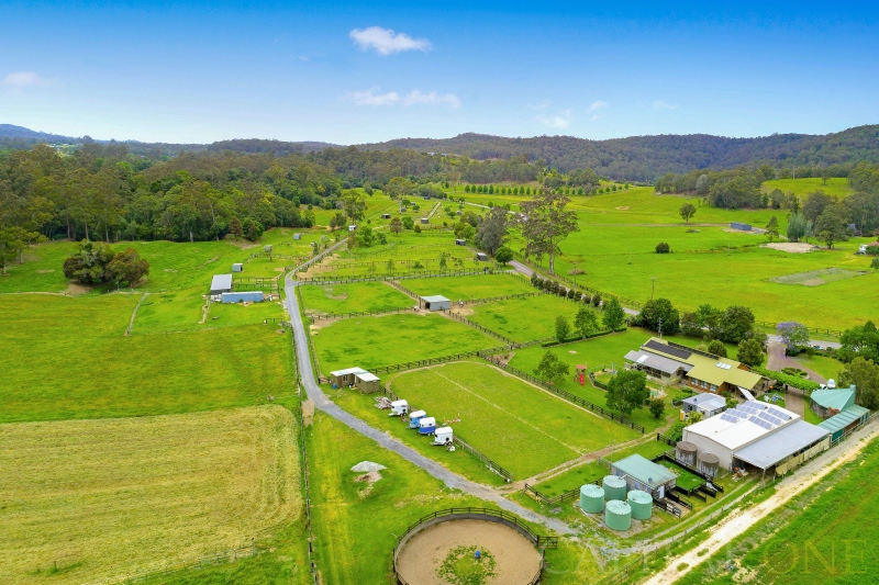 Real Estate in Wyong Creek