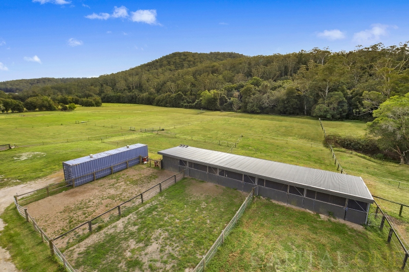 Real Estate in Wyong Creek