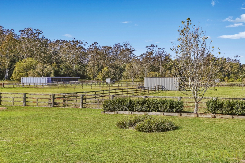 Real Estate in Wyong Creek