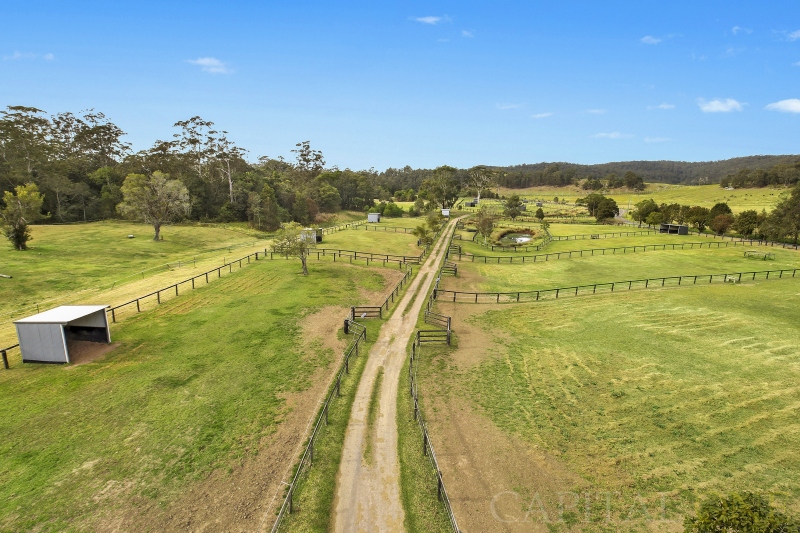 Real Estate in Wyong Creek