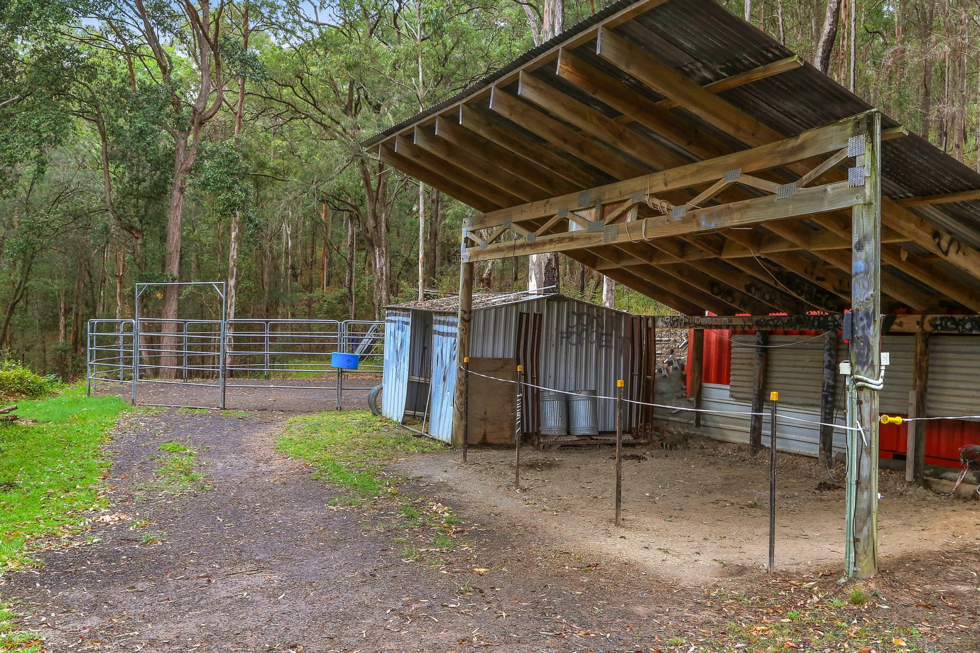 Real Estate in Yarramalong