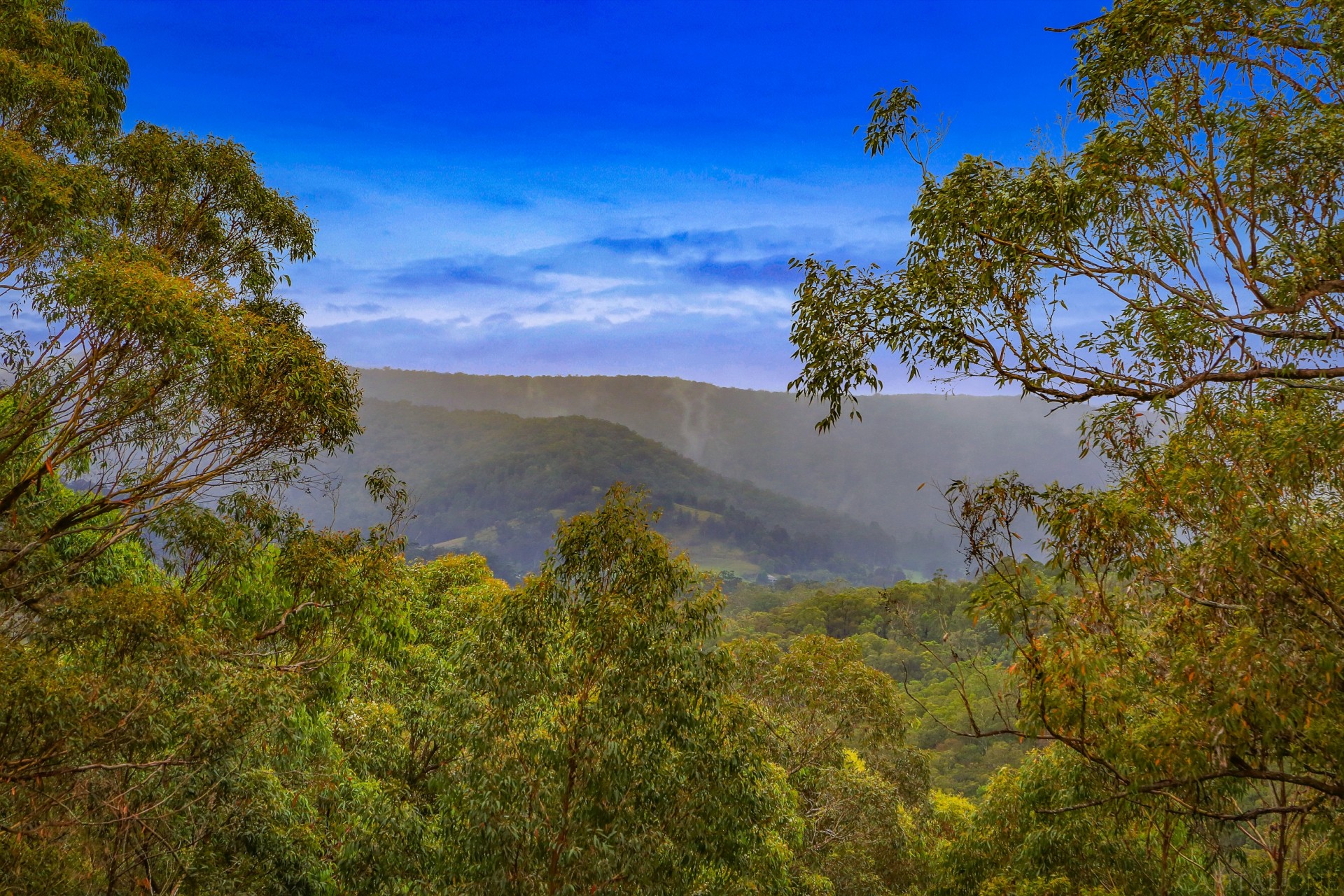 Selling your property in Yarramalong
