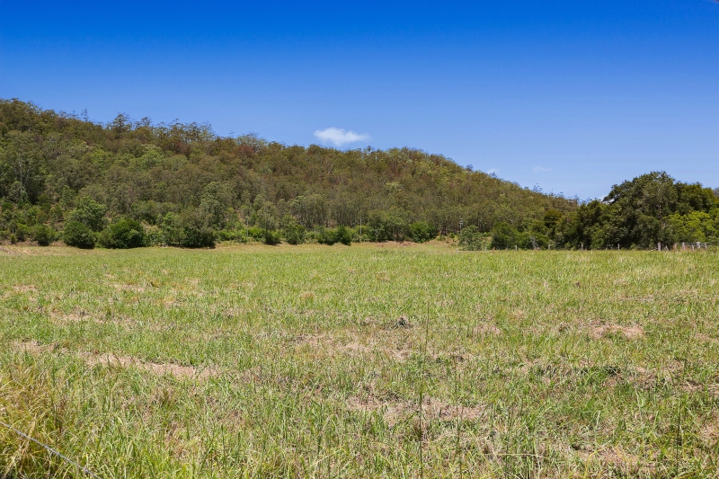 Real Estate in Yarramalong