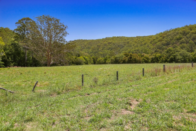 Real Estate in Yarramalong