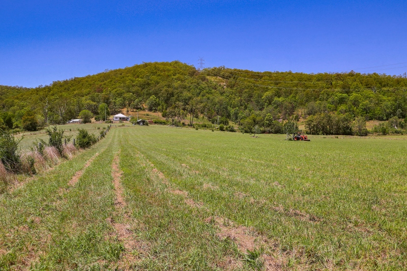 Real Estate in Yarramalong