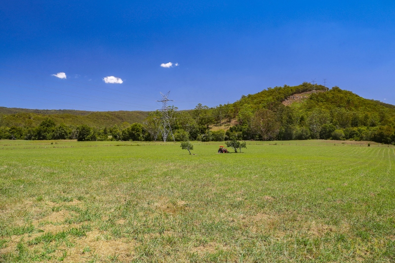 Real Estate in Yarramalong