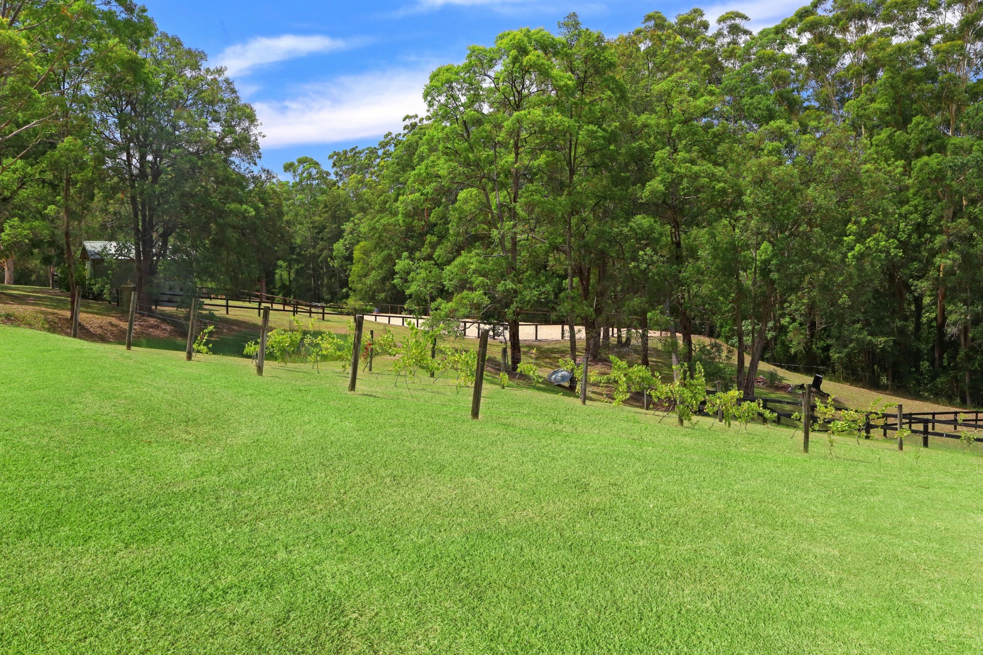 Real Estate in Dooralong