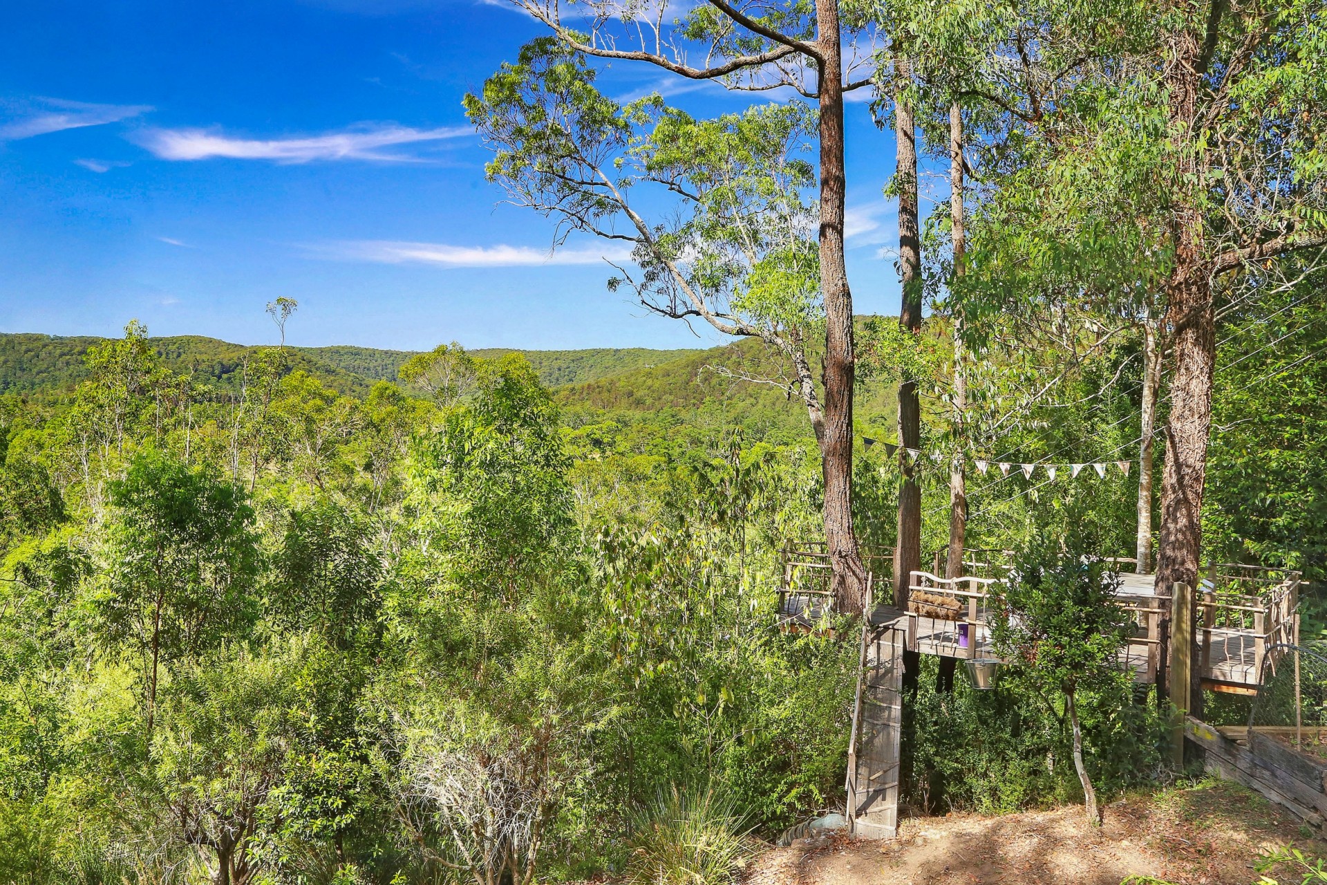 Real Estate in Wyong Creek