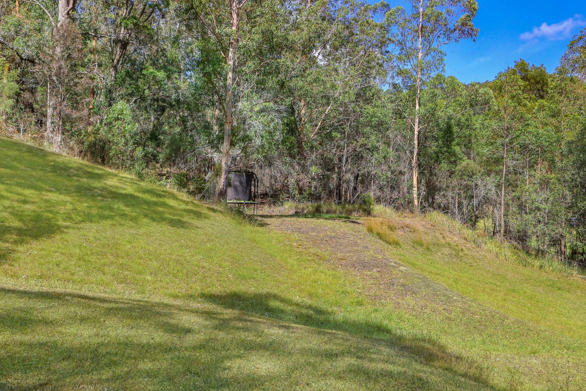 Real Estate in Yarramalong