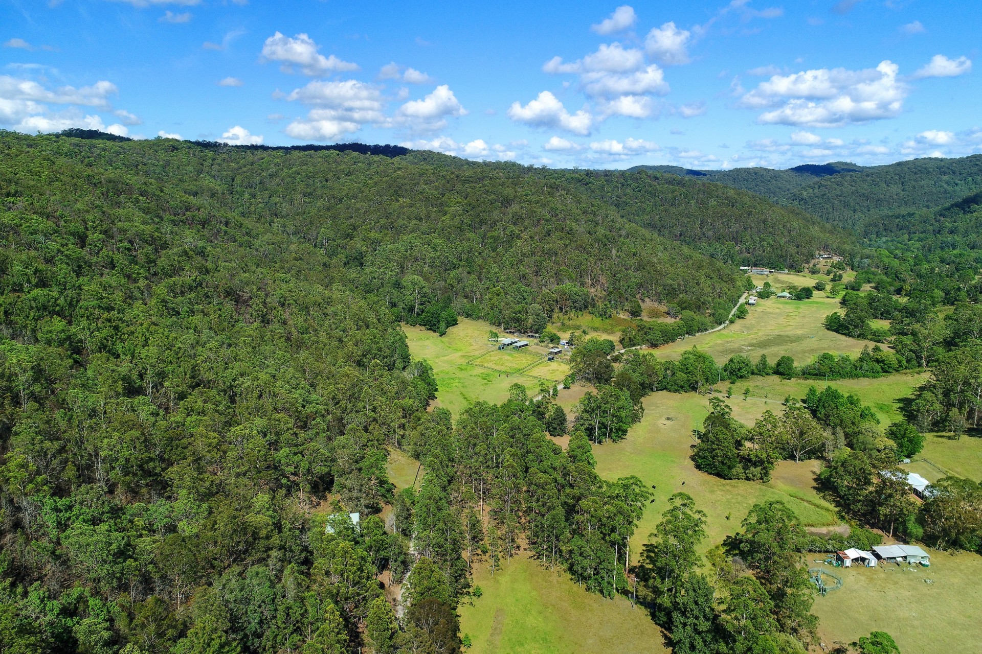 Real Estate in Yarramalong