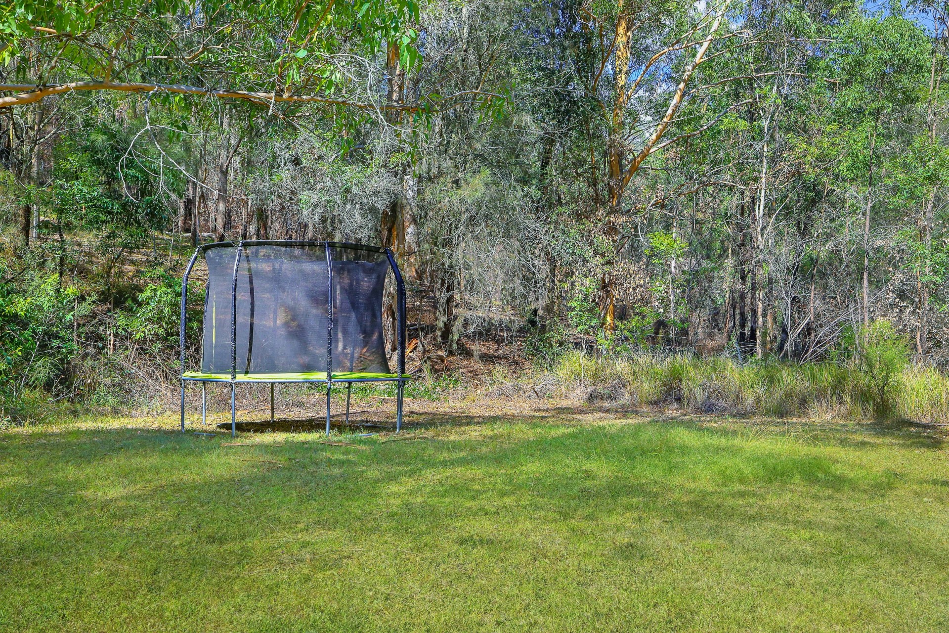 Real Estate in Yarramalong