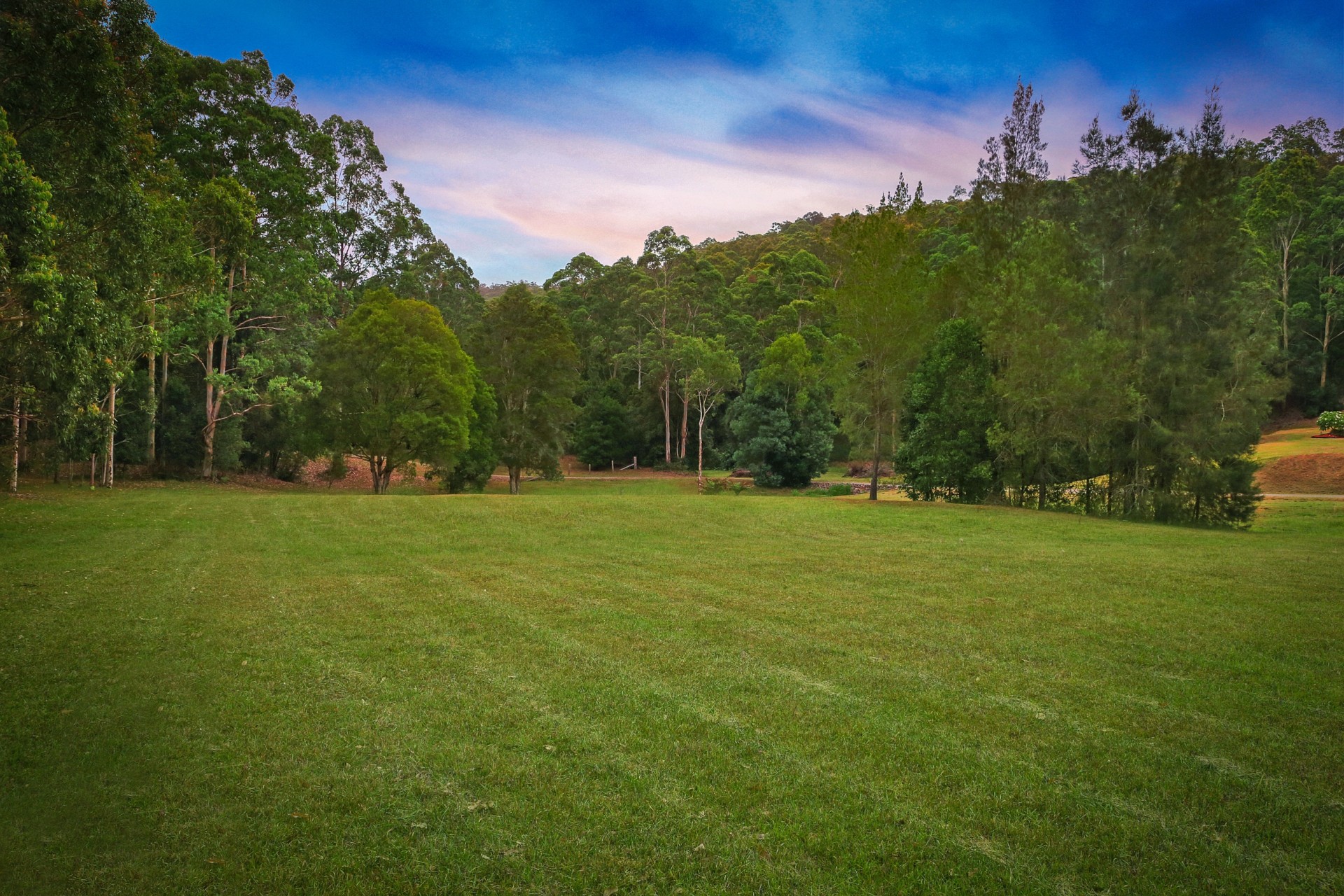 Real Estate in Wyong Creek