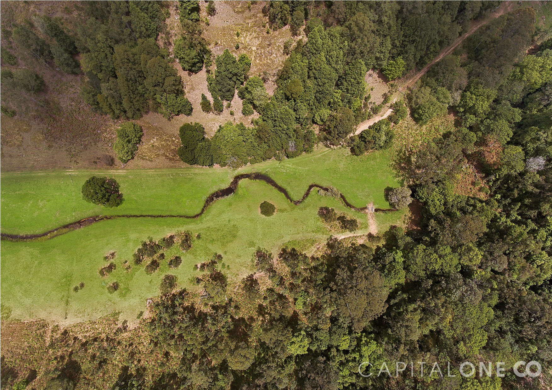 Real Estate in Cedar Brush Creek