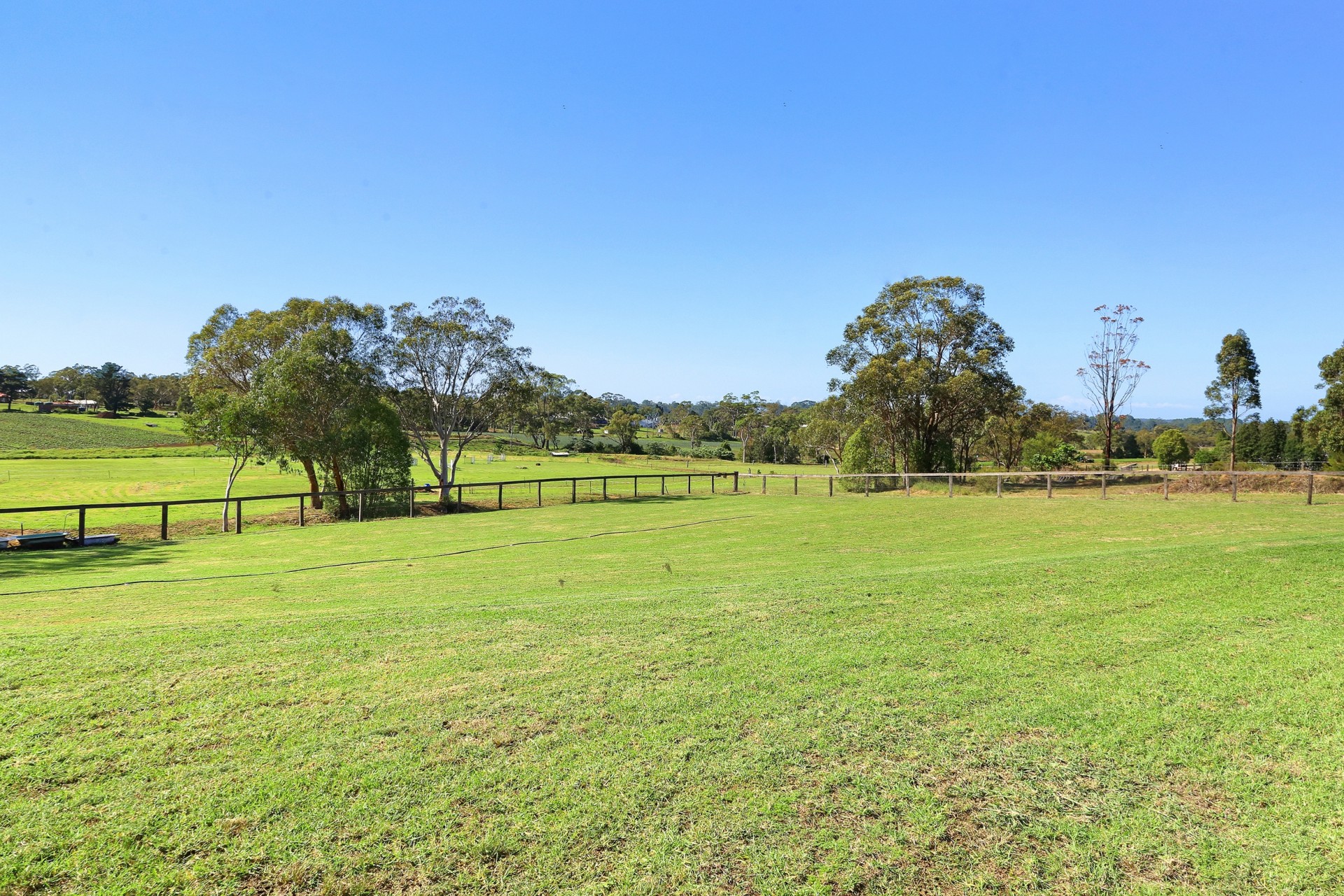 Real Estate in Mangrove Mountain