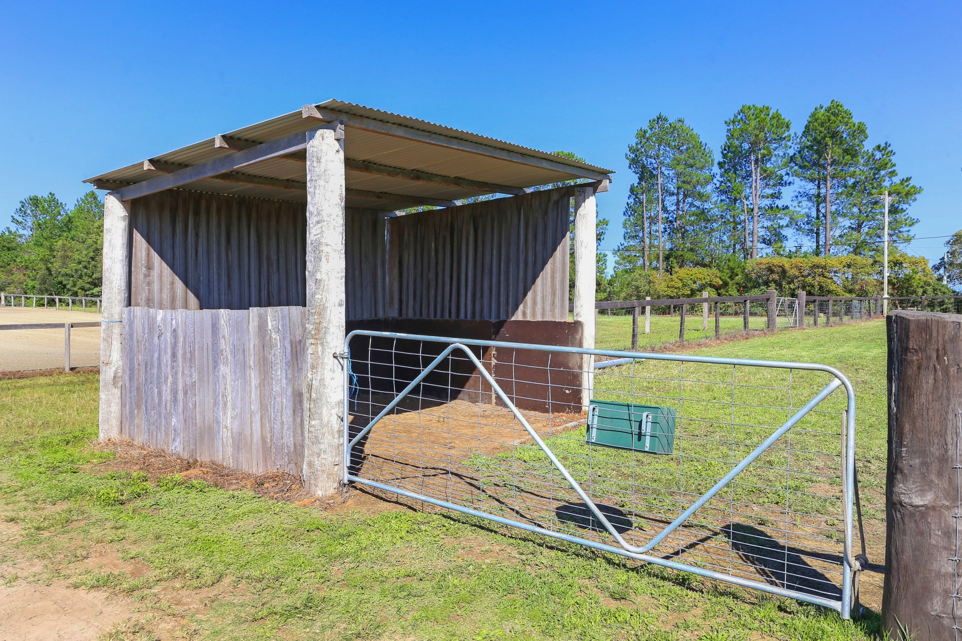 Real Estate in Mangrove Mountain