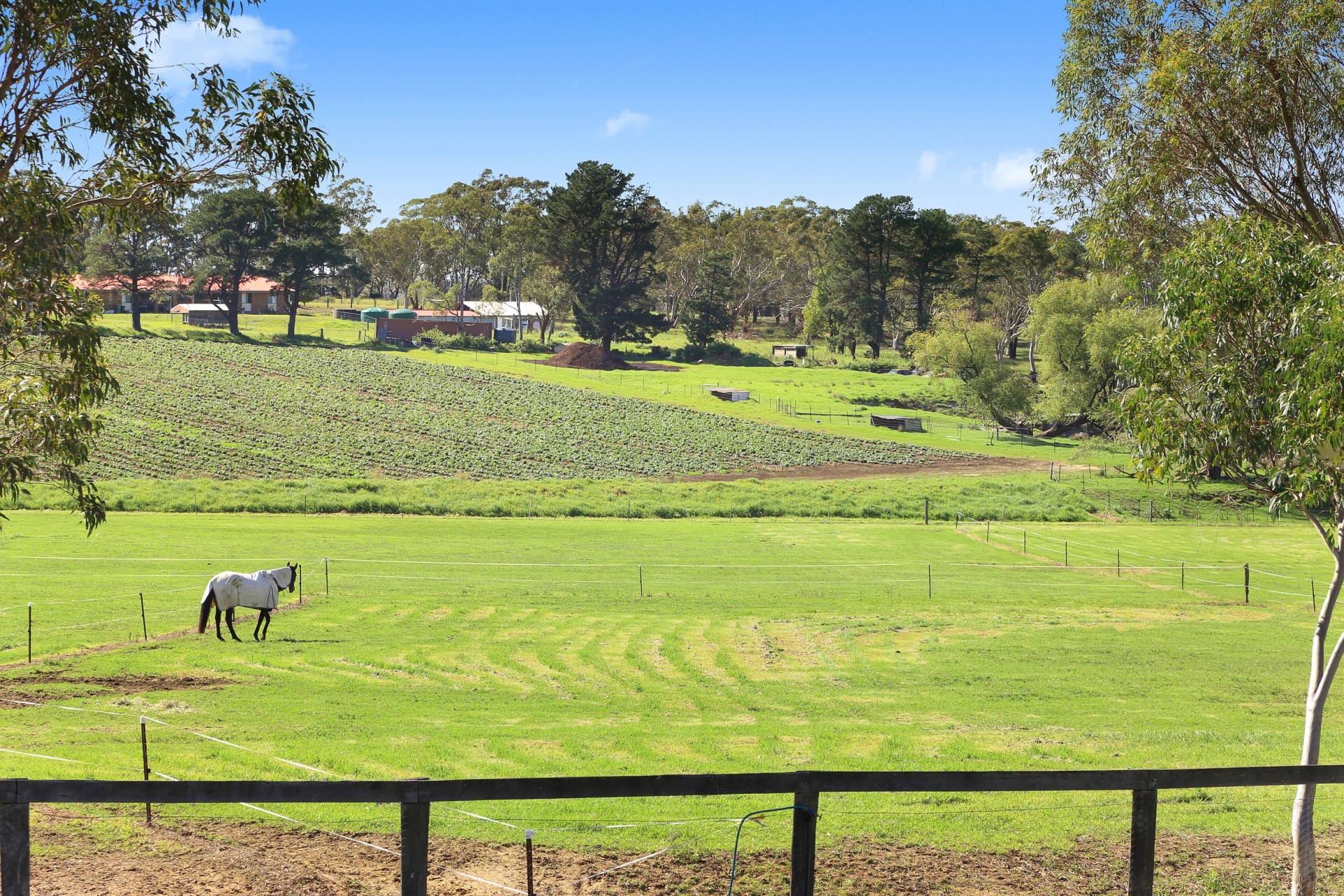 Selling your property in Mangrove Mountain