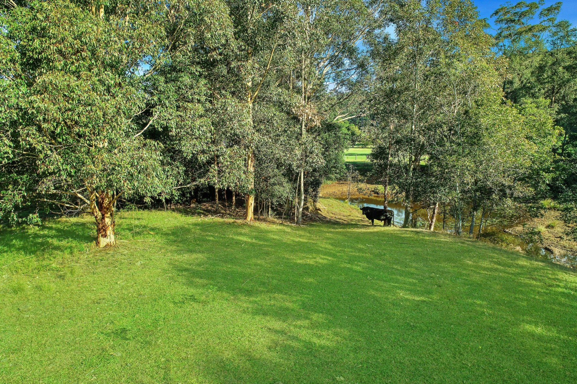 Real Estate in Jilliby
