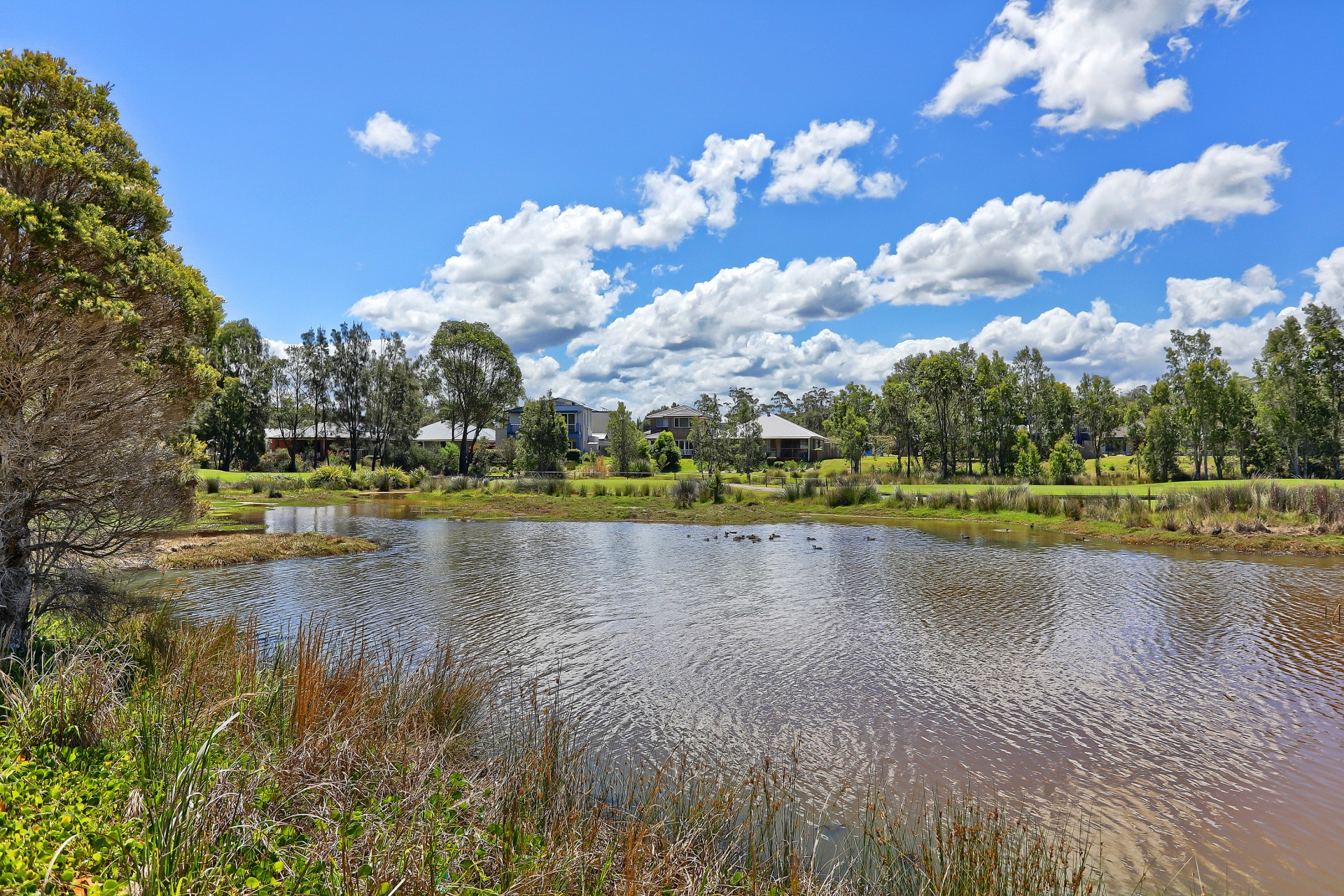 Open for inspection in Wyong