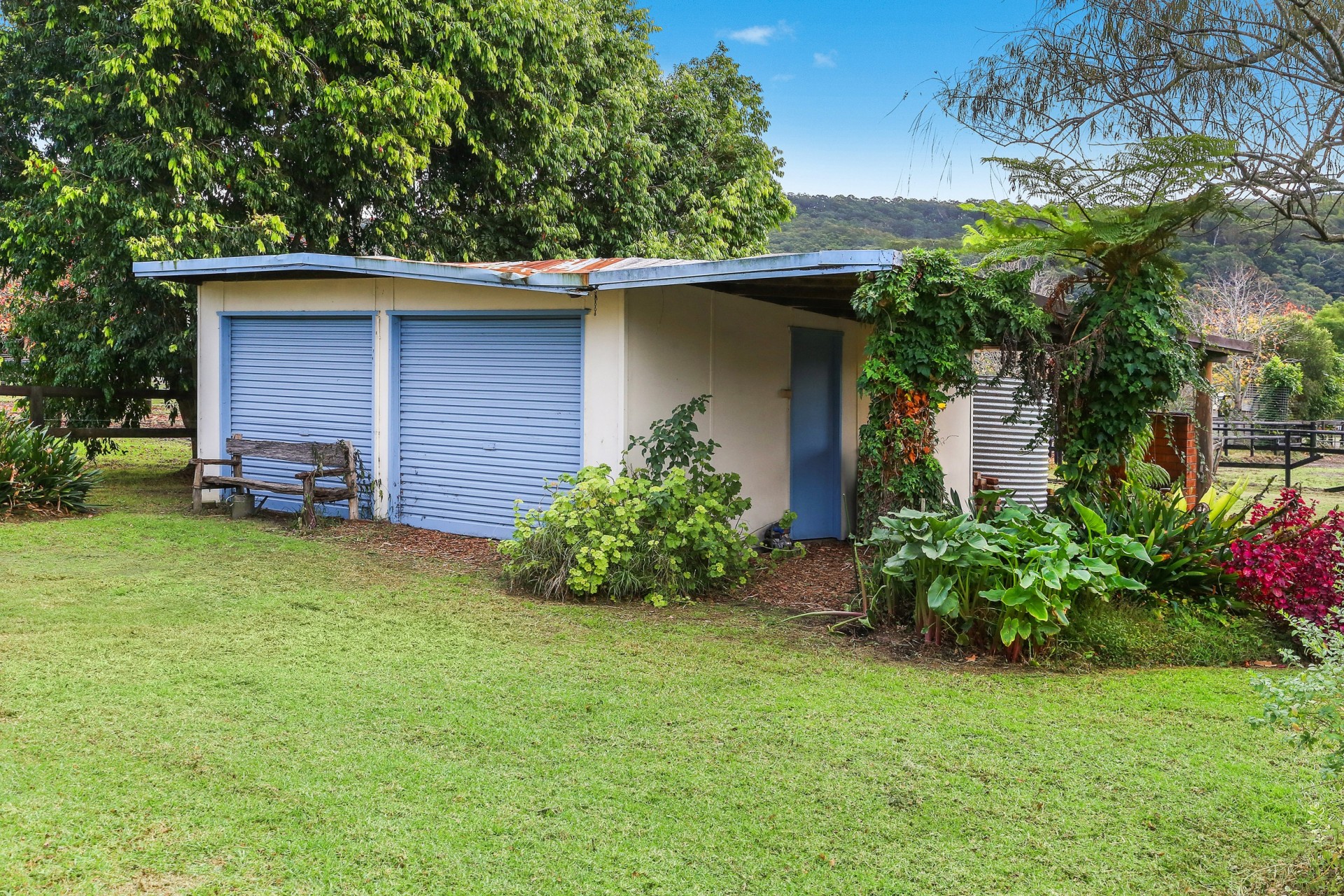 Real Estate in Wyong Creek