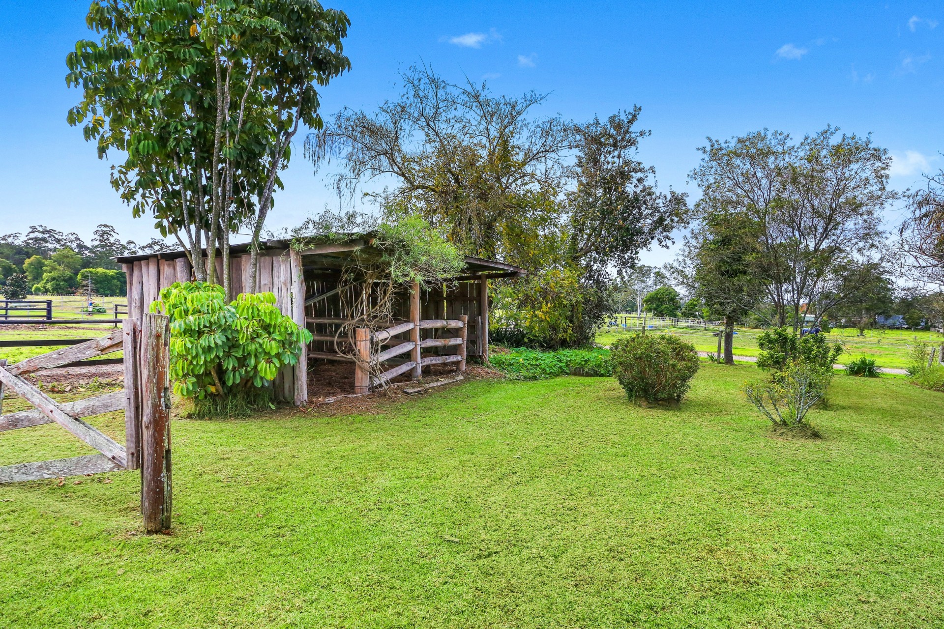 Real Estate in Wyong Creek