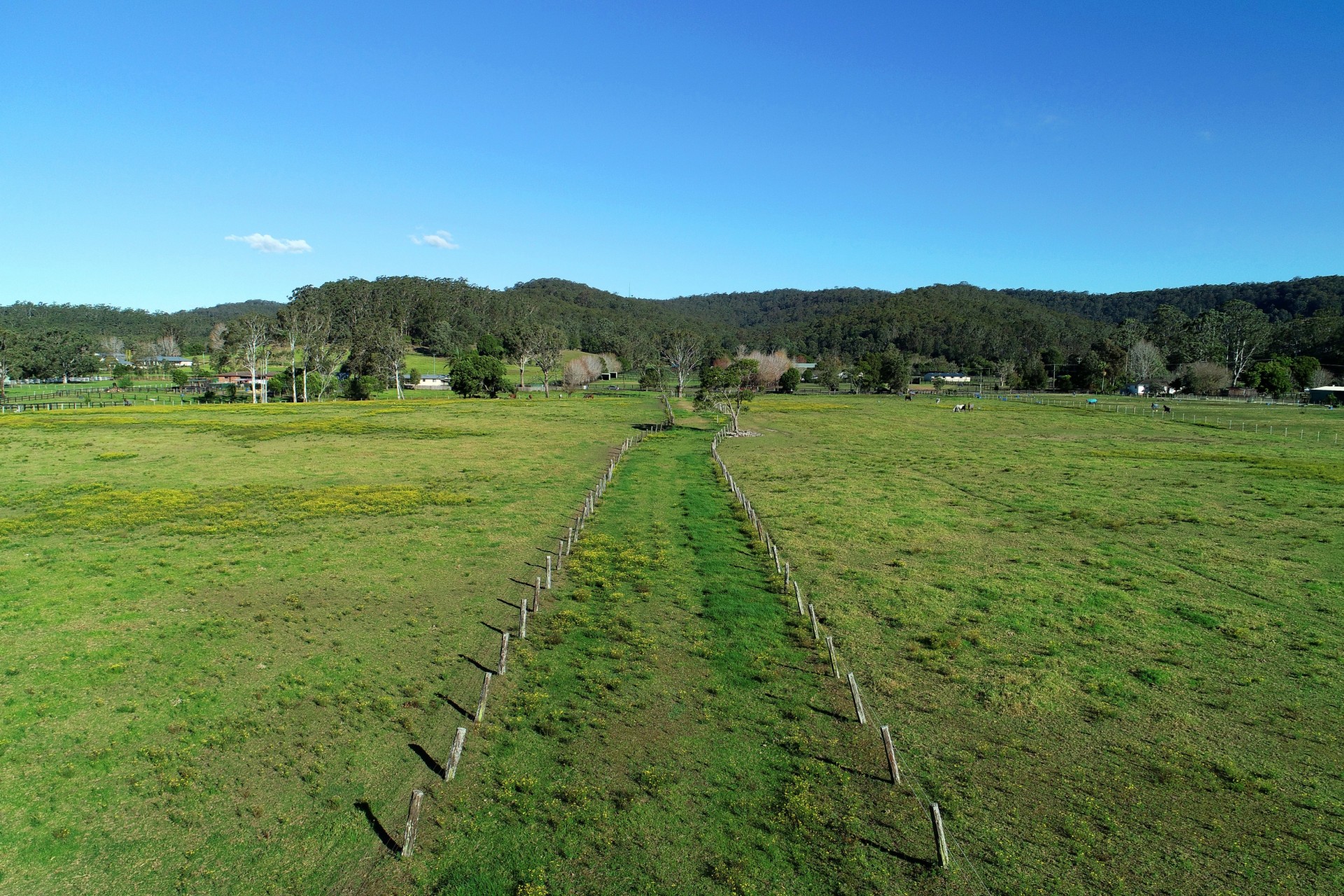 Wyong Creek real estate Sold