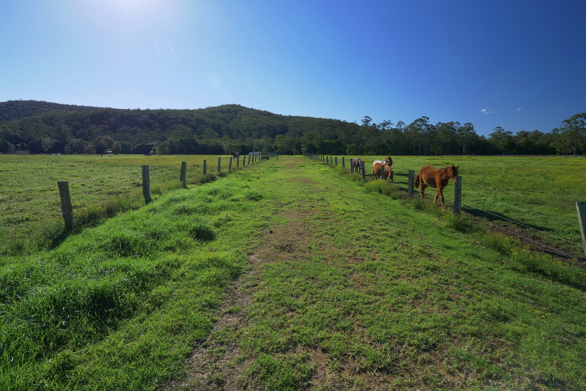 Open for inspection in Wyong Creek