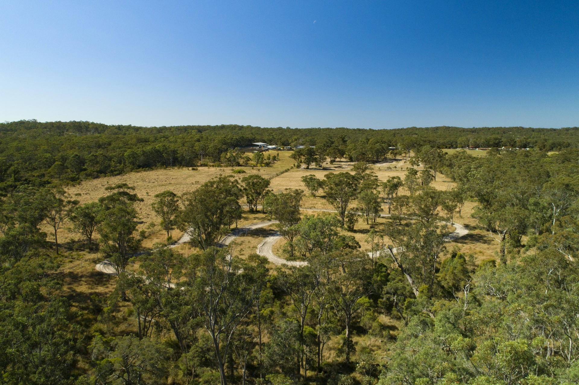 Real Estate in Warnervale