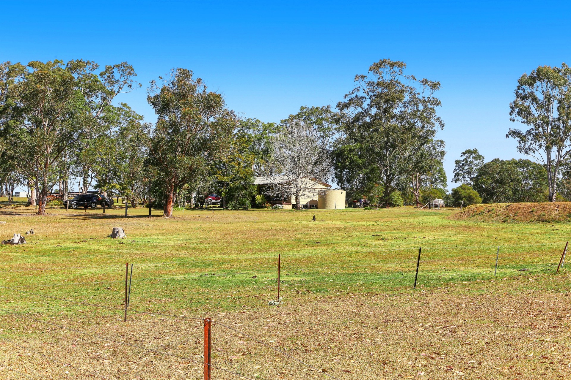 Real Estate in Warnervale