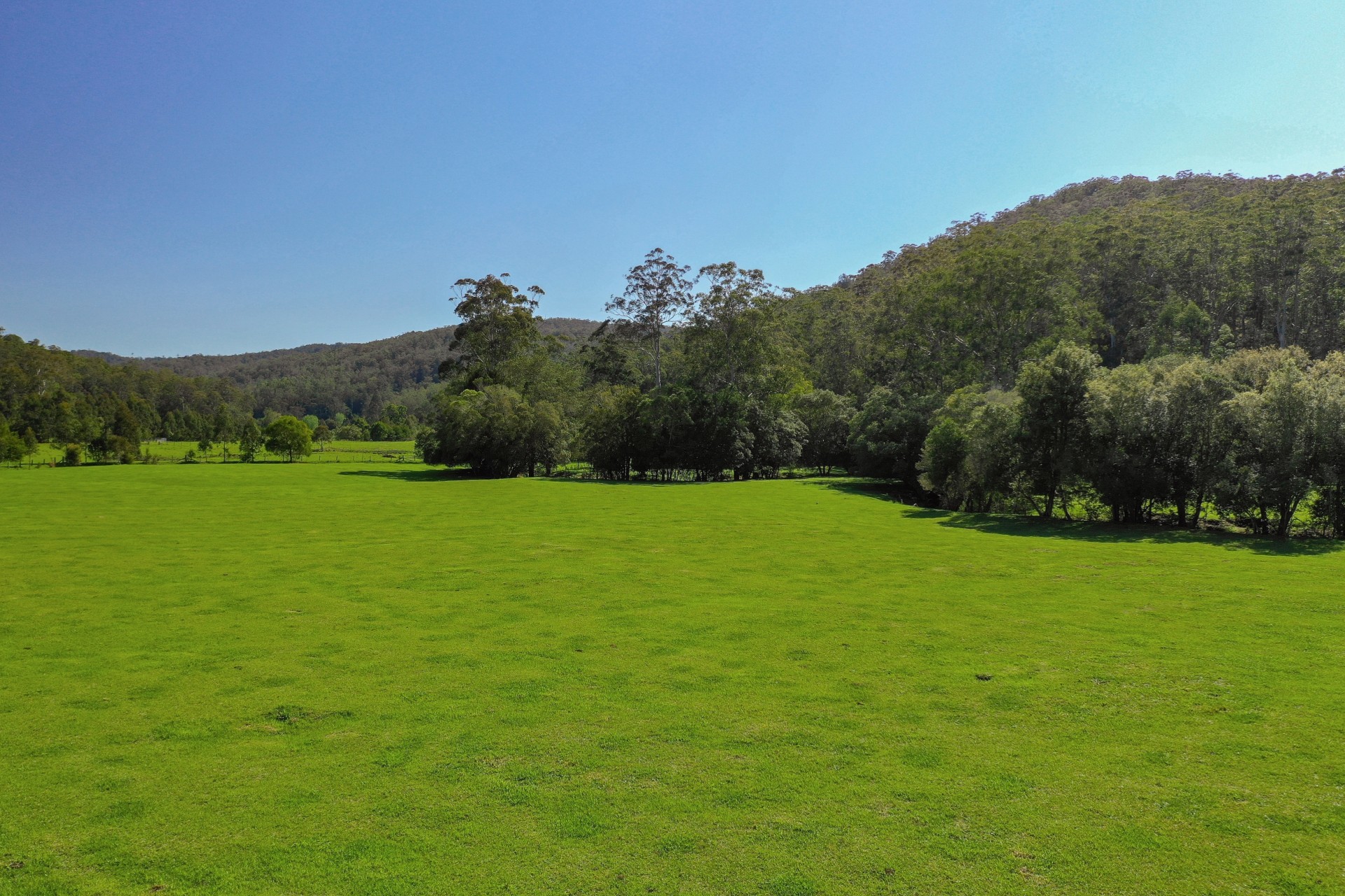 Real Estate in Cedar Brush Creek