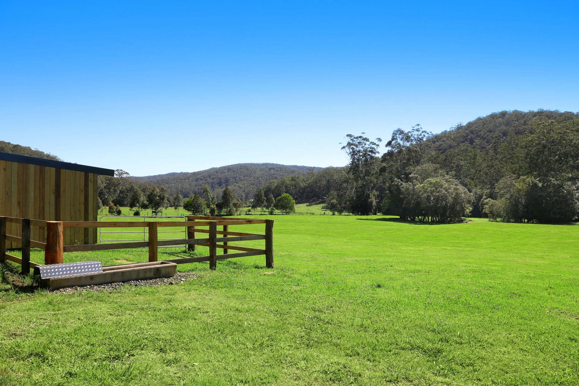 Real Estate in Cedar Brush Creek