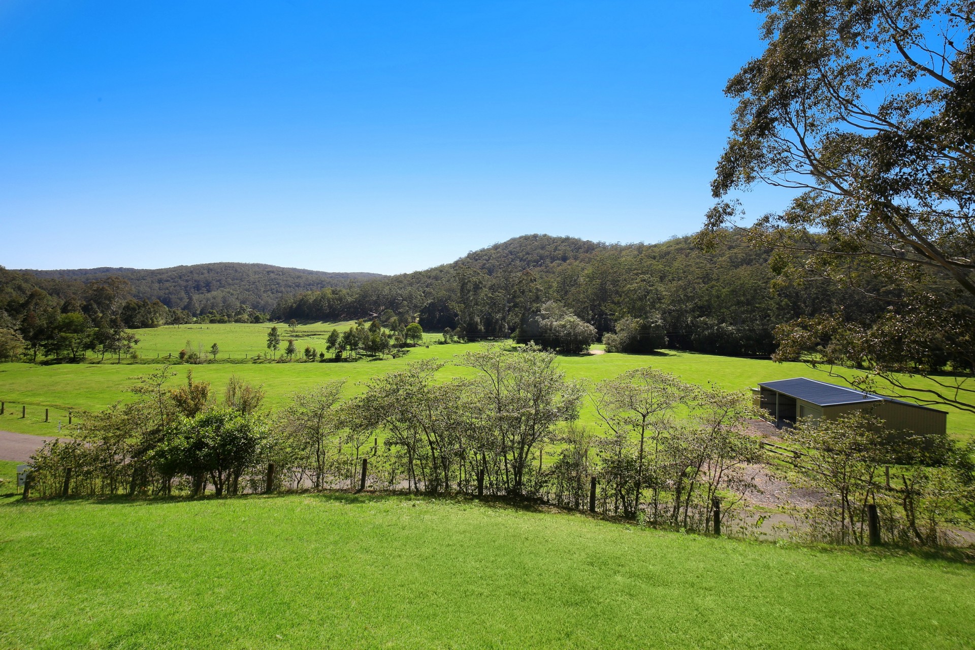 Real Estate in Cedar Brush Creek